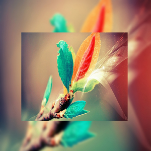 黄视频在线观看免费视频
