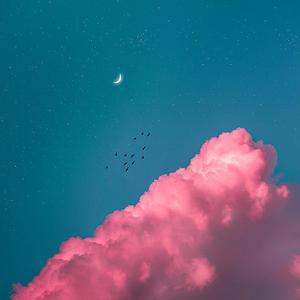 黄视频在线观看免费视频
