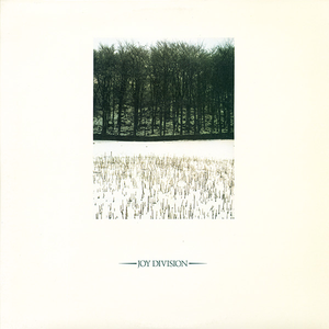 黄视频在线观看免费视频
